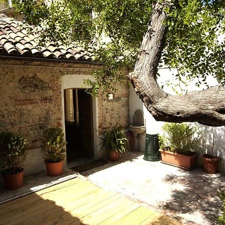 L'Albero Di Giuggiole Villa Cosenza Exterior foto